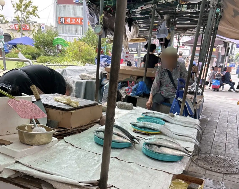 경동시장 체류와 관계 형성 현장 사진