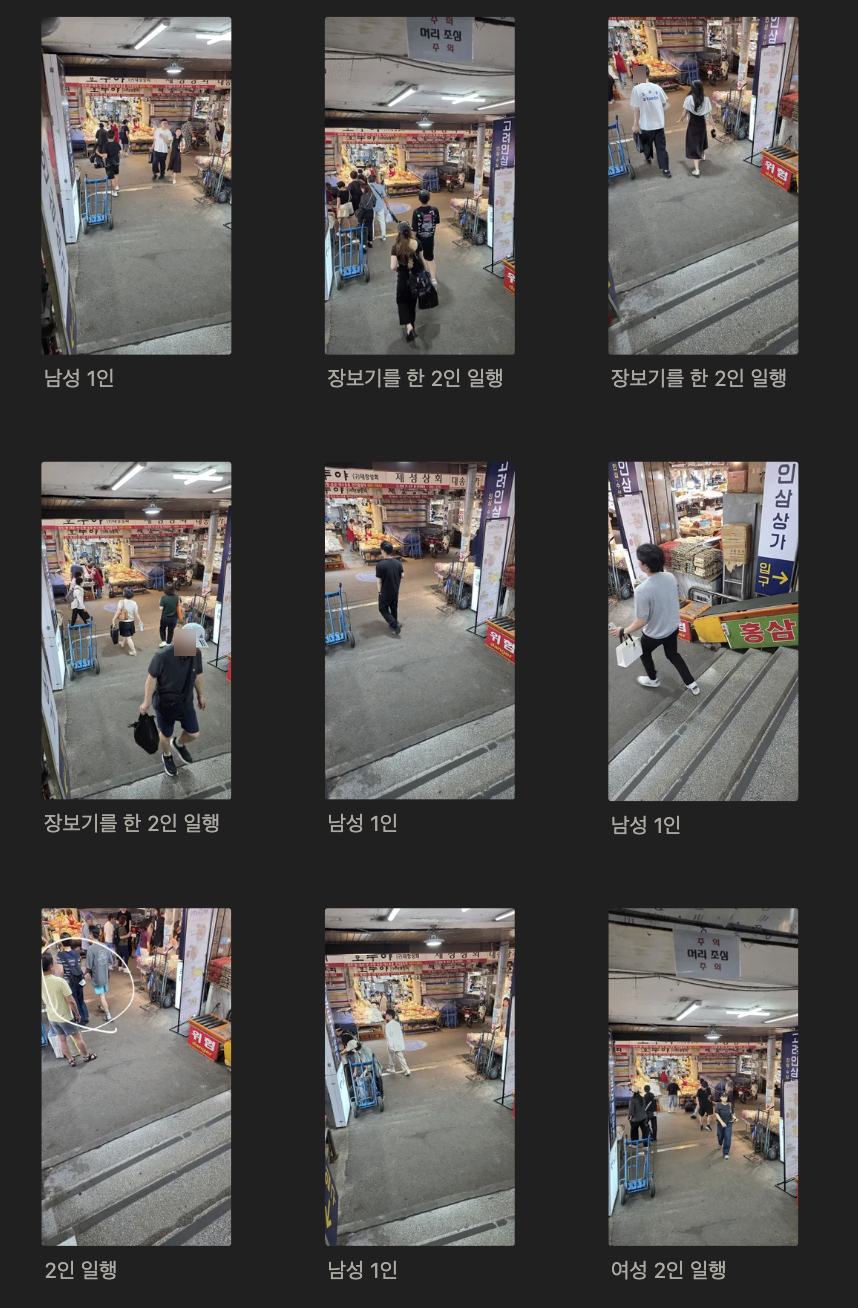 정점관찰 현장